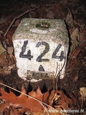 424a-diergardtcher-wald1