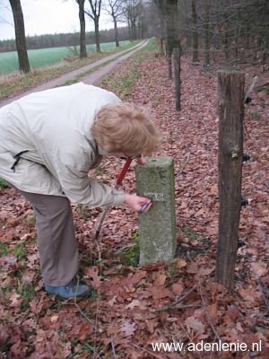 425a-reuver-meerlebroek-diergardtcher-wald-lenie