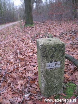 425b-reuver-meerlebroek-diergardtcher-wald