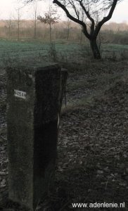 415a-elmpter-wald