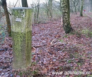 415b-elmpter-wald