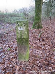 415c-elmpter-wald
