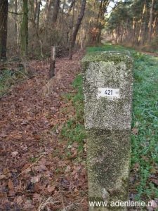 421-groene-woud-swalmen