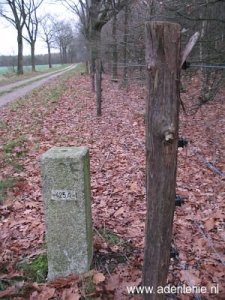 425a-reuver-meerlebroek-diergardtcher-wald