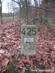 425c-reuver-meerlebroek-diergardtcher-wald