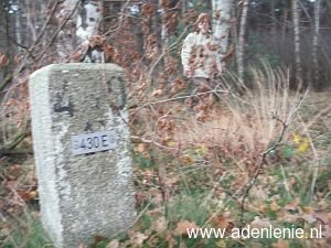 430e-brachter-wald-meelderbroek1