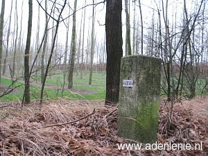 431a-belfeld-meelderbroek-ravensbos1
