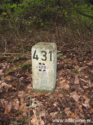 431b-belfeld-meelderbroek-ravensbos1