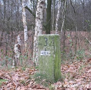432a-midden-in-bos-bij-meelderbroek1