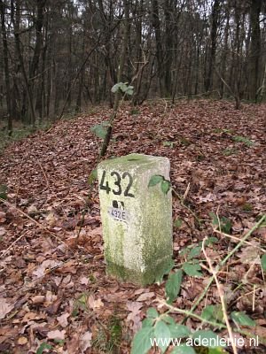 432e-midden-in-bos-bij-meelderbroek1