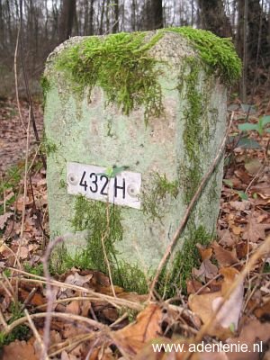 432h-midden-in-bos-bij-meelderbroek