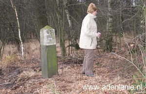 431-brachter-wald1