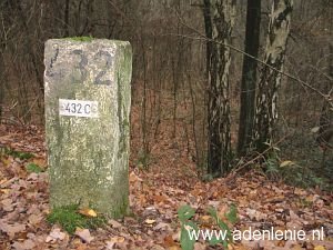 432c-midden-in-bos-bij-meelderbroek1