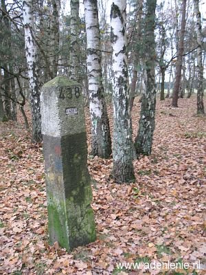 438-ravensheide-en-camping-de-eekhoorn