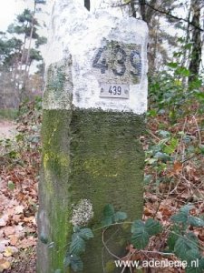 439-ravensheide-en-camping-de-eekhoorn