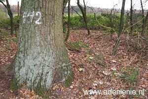 442-verdwenen-gp-omg-kaldenkirchen