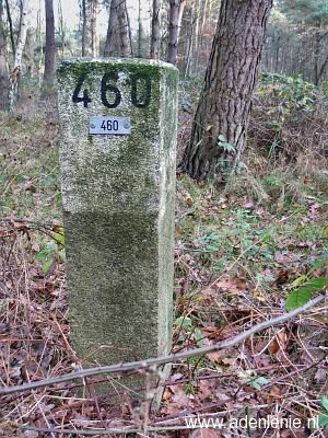 460-grootte-heide-venloer-heide