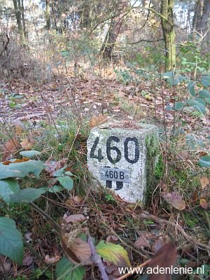 460b-grootte-heide-venloer-heide
