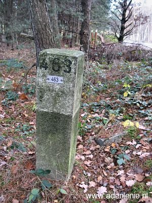 463-grootte-heide-venloer-heide