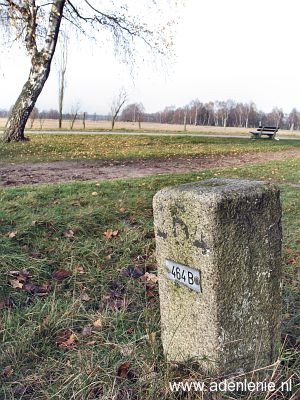 464b-grootte-heide-venlo