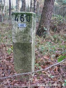 460-grootte-heide-venloer-heide