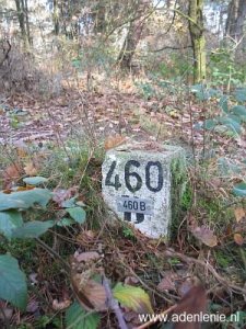 460b-grootte-heide-venloer-heide