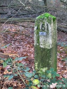 461-grootte-heide-venloer-heide
