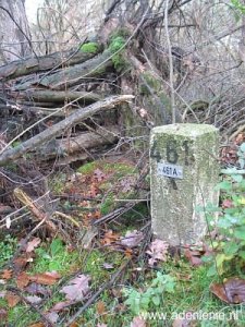 461a-grootte-heide-venloer-heide