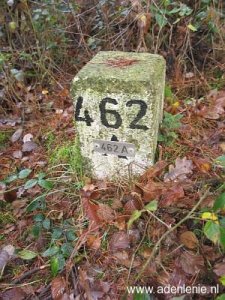 462a-grootte-heide-venloer-heide