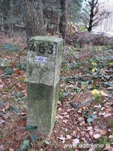 463-grootte-heide-venloer-heide