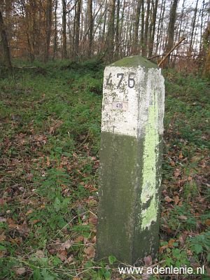 476-in-bos-bij-beek-graben-no-venlo