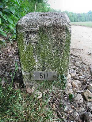 51-i-bergvennen-lattropperveld