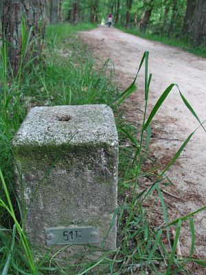 51-ii-bergvennen-lattropperveld