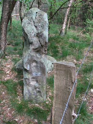 52-bergvennen-lattropperveld1