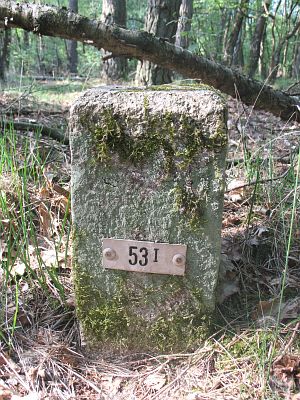 53-i-brekelkamper-veld-lange-fietspad