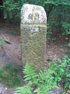49-noord-deurningerveld