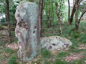 52-bergvennen-lattropperveld