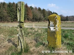 481-gem-straelen-en-arcen2
