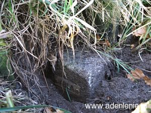 481a-staelensche-broek-22