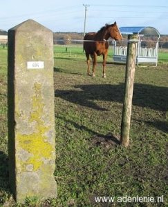 484-tussen-de-paarden-staelensche-broek2