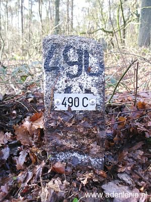 490c-omg-walbeck1