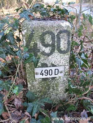 490d-omg-walbeck1