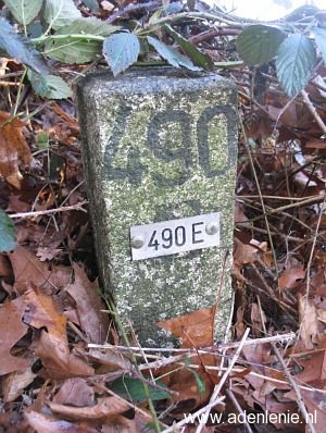 490e-omg-walbeck1