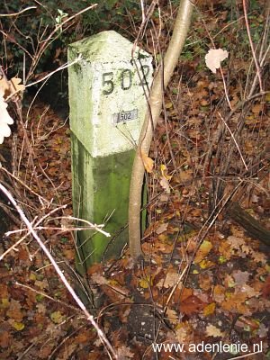 502-omg-dorper-heide-in-tuin-van-mensen1