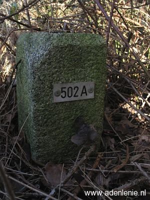 502a-omg-walbeck1