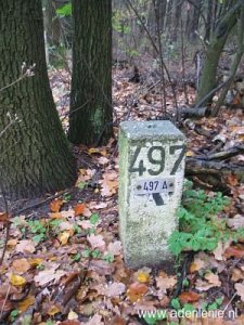 497a-omg-dorper-heide-met-afgravingen1