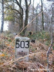 503a-steprather-heide-niet-zeker1