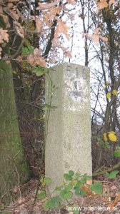 516c-d-zijde-omg-wellsche-meer