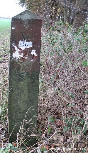 525-eckelt