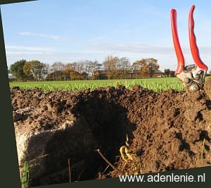 534b-kendelhof